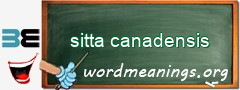WordMeaning blackboard for sitta canadensis